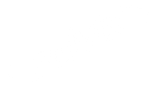 Solvix